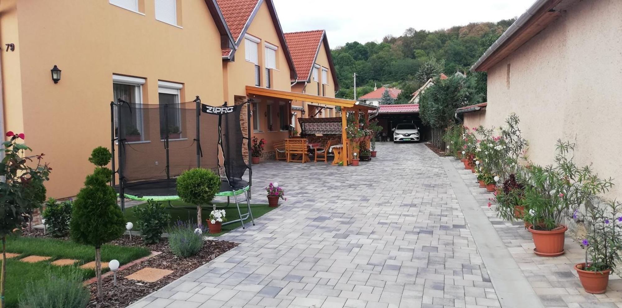 Agica Vendeghaz Villa Andornaktálya Exterior photo